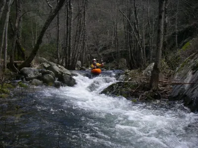 En sous-bois, une rivière au paysage fort sympathique